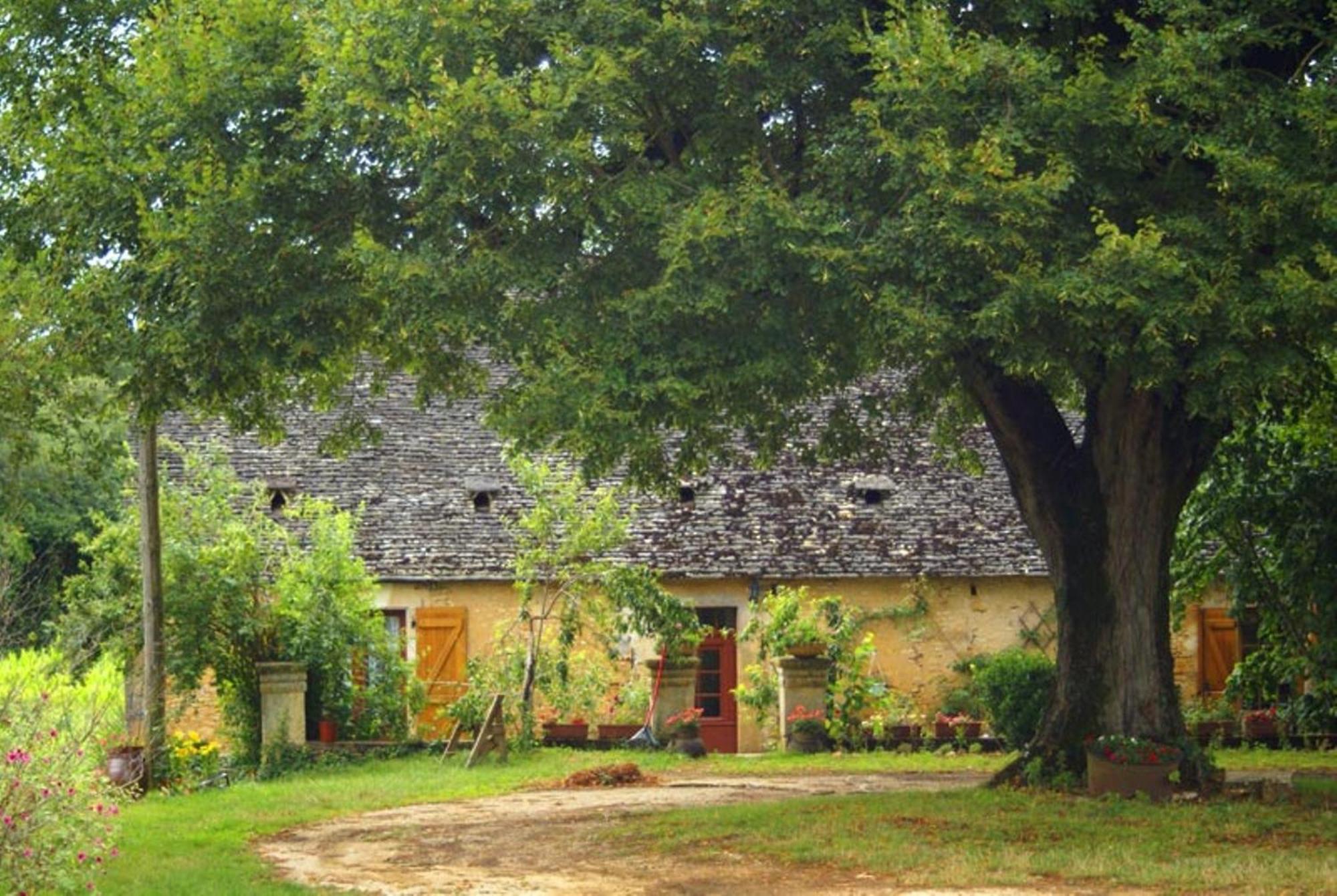 La Ferme Du Pech Acomodação com café da manhã Saint-Genies Exterior foto